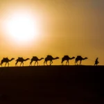 Merzouga Sunset & Camel Trek