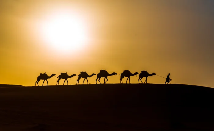 Merzouga Sunset & Camel Trek