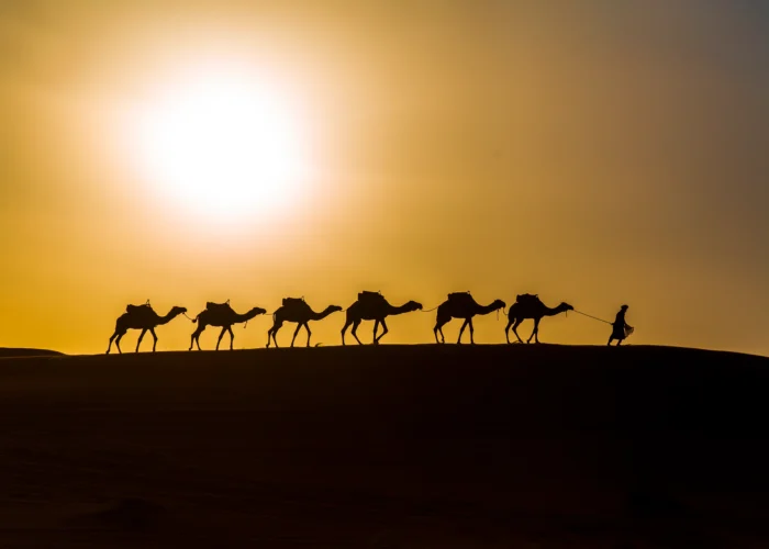 Merzouga Sunset & Camel Trek